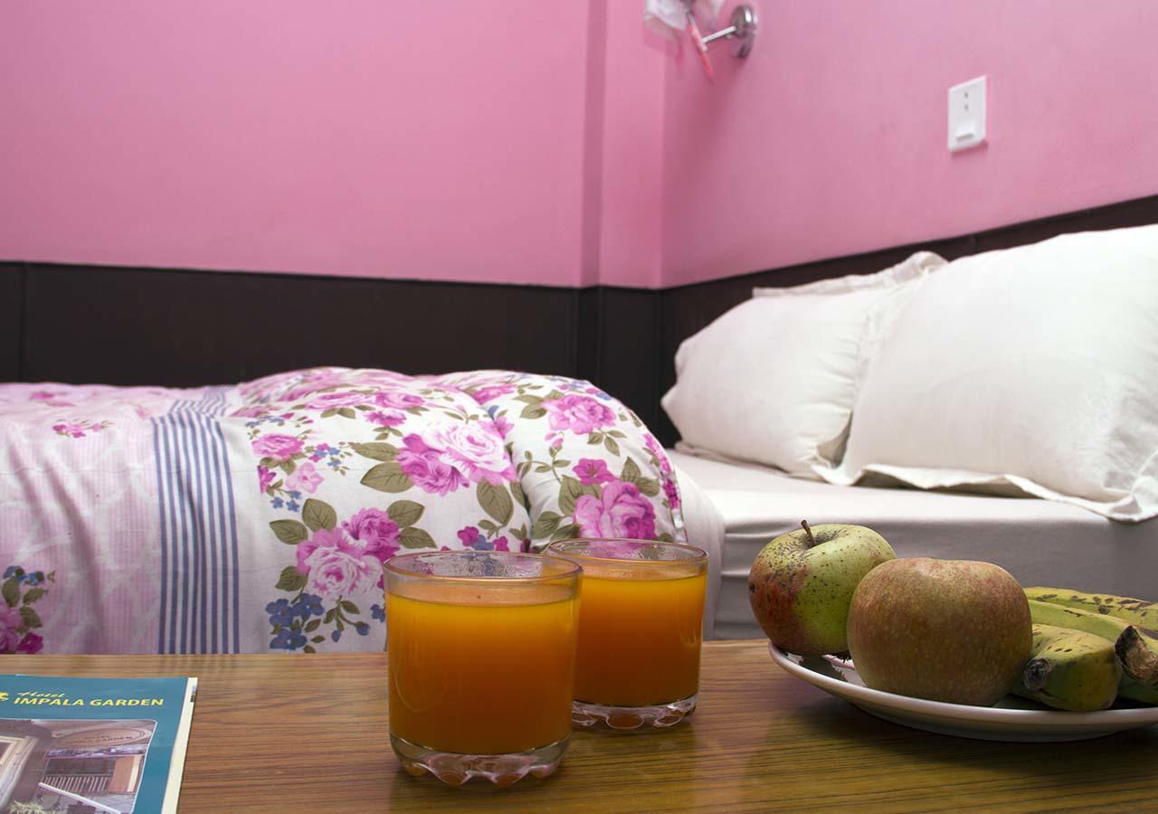 Hotel Impala Garden Катманду Екстер'єр фото